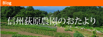 信州荻原農園のおたより