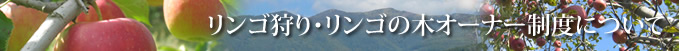 リンゴ狩り・リンゴの木オーナー制度について